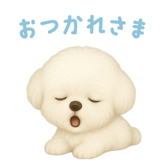 [LINEスタンプ] ビションフリーゼスタンプ【日本語】