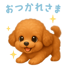 [LINEスタンプ] トイプードルスタンプ【日本語】