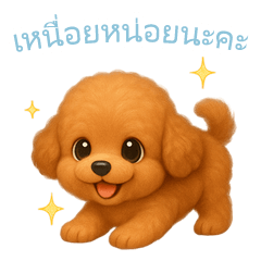 [LINEスタンプ] トイプードルスタンプ【タイ語】