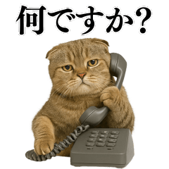 [LINEスタンプ] 【爆笑】スコティッシュホールドの便利台詞