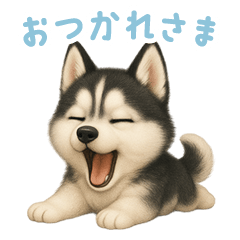 [LINEスタンプ] シベリアンハスキースタンプ【日本語】