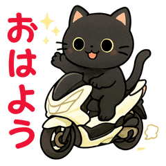 [LINEスタンプ] スクーターに乗った黒猫の日常