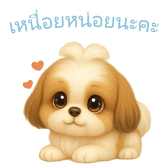 [LINEスタンプ] シーズースタンプ【タイ語】