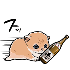 [LINEスタンプ] 差し出すネコ