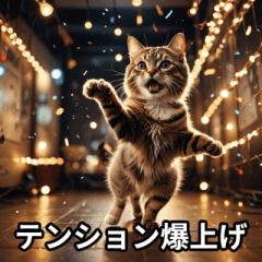 [LINEスタンプ] 陽キャ用ねこスタンプ