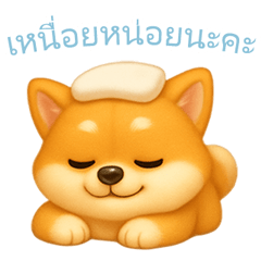 [LINEスタンプ] 柴犬の日常スタンプ【タイ語版】