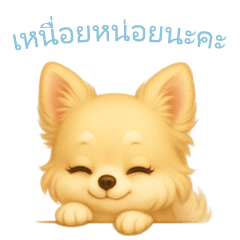 [LINEスタンプ] チワワスタンプ【タイ語】