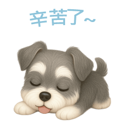 [LINEスタンプ] ミニチュアシュナウザー【繁體字】