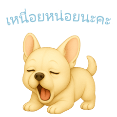 [LINEスタンプ] フレンチブルドッグ【タイ語】