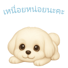 [LINEスタンプ] マルチーズ【タイ語】