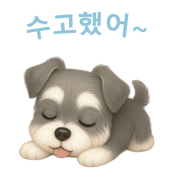 [LINEスタンプ] ミニチュアシュナウザー【韓国語】