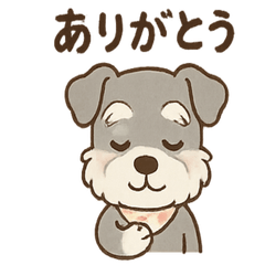 [LINEスタンプ] ありがとうが言える ねぎらいシュナの癒し