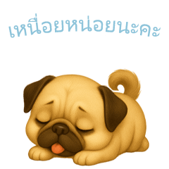 [LINEスタンプ] パグスタンプ【タイ語】