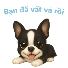 [LINEスタンプ] ボストンテリア【ベトナム語】