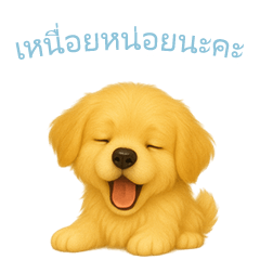 [LINEスタンプ] ゴールデンレトリーバー【タイ語】
