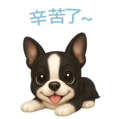 [LINEスタンプ] ボストンテリア【繁體字】