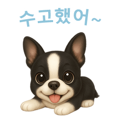 [LINEスタンプ] ボストンテリア【韓国語】