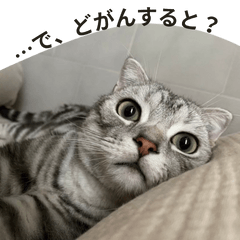 [LINEスタンプ] 長崎弁だいたいよかっちゃない（vol.2）