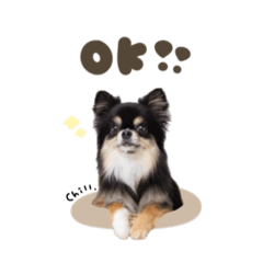 [LINEスタンプ] チルくん☆スタンダード