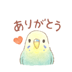 [LINEスタンプ] 日常使い セキセイインコ
