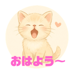 [LINEスタンプ] 癒し系シリーズ子猫ちゃん