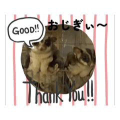 [LINEスタンプ] ほんわかフクモモ達の日和 