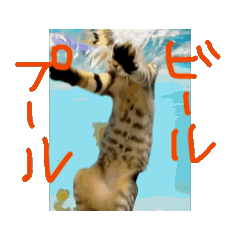 [LINEスタンプ] お酒とネコ好きな日常会話 48