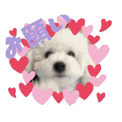 [LINEスタンプ] ビションもふお③ 