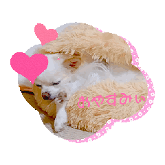 [LINEスタンプ] もかぼ！ 