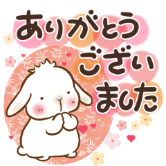 [LINEスタンプ] 垂れ耳もちさま 白うさぎになっちゃった