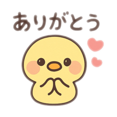 [LINEスタンプ] ずーっと使えるひよこの日常会話