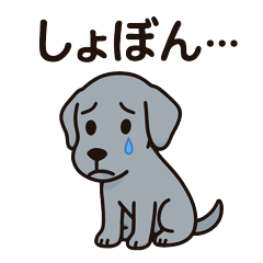 [LINEスタンプ] 黒犬ココのさみしぃ返事