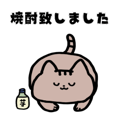 [LINEスタンプ] 猫と亀の毎日スタンプ