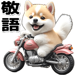 [LINEスタンプ] 敬語♡バイク好き 豆柴