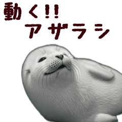 [LINEスタンプ] 動く！アザラシ