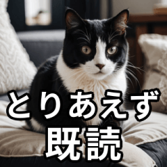[LINEスタンプ] 可愛い猫の既読マーク
