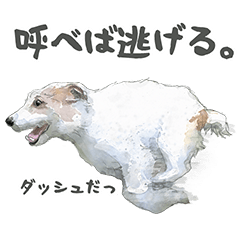 [LINEスタンプ] 水彩画ジャックラッセルテリア（あるある）