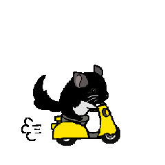 [LINEスタンプ] 可愛いチンチラ、達磨くん/Black Velvet