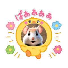 [LINEスタンプ] かわいいキンクマはむちゃんのスタンプ 