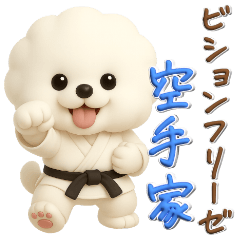 [LINEスタンプ] ビションフリーゼ♪空手家、立体