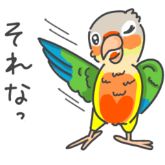 [LINEスタンプ] ウロコインコの日常で使えるスタンプ3 