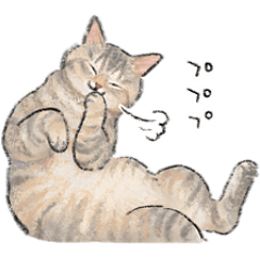 [LINEスタンプ] うちの子パステル麦わら猫！(にほんねこ)
