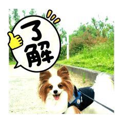 [LINEスタンプ] レオ❗️遊んでね
