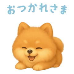 [LINEスタンプ] ポメラニアンスタンプ【日本語】
