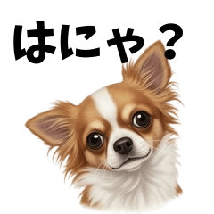 [LINEスタンプ] 犬からの一言。
