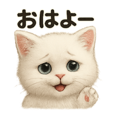 [LINEスタンプ] 自信なさげなこねこのふわ猫スタンプ