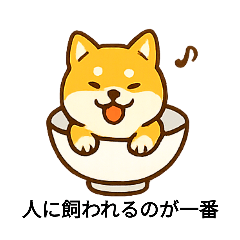 [LINEスタンプ] お茶碗犬 おちゃわんわん あいさつ
