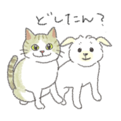 [LINEスタンプ] 犬猫インコのすこぶる愉快な毎日2