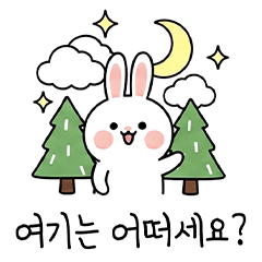 [LINEスタンプ] ウサギのコミュニケーションスタンプ (KR) 