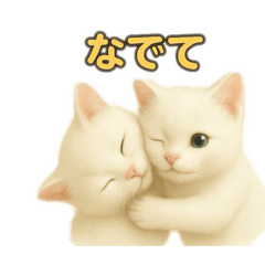 [LINEスタンプ] 実写みたいな子猫 日本語